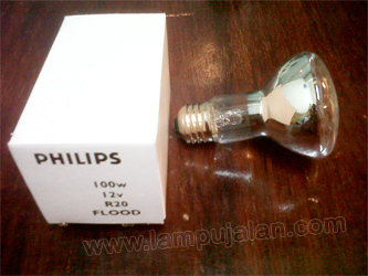 Lampu Kolam Renang R20 12V 100 Watt Philips